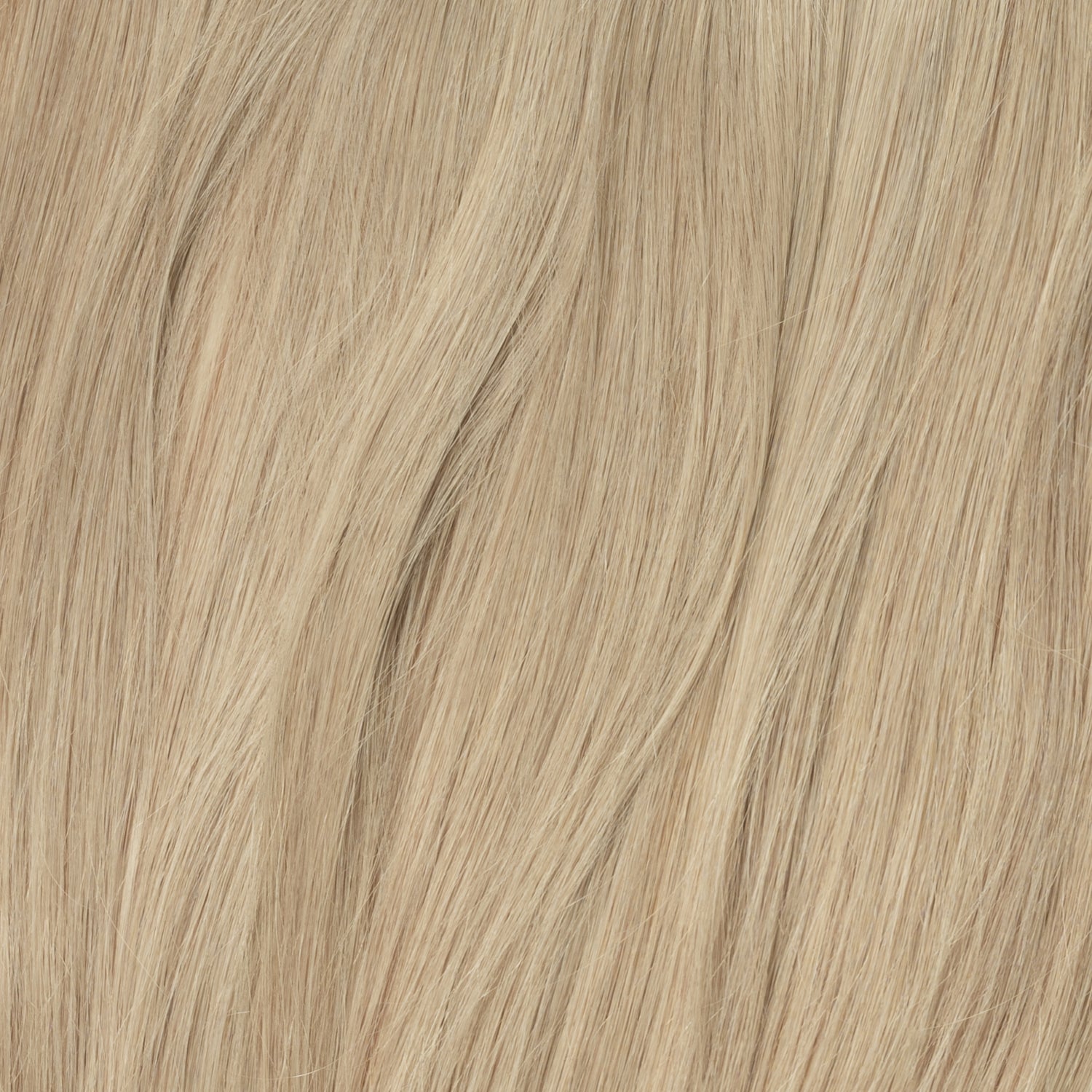 Color sample - Beige Blonde 16B