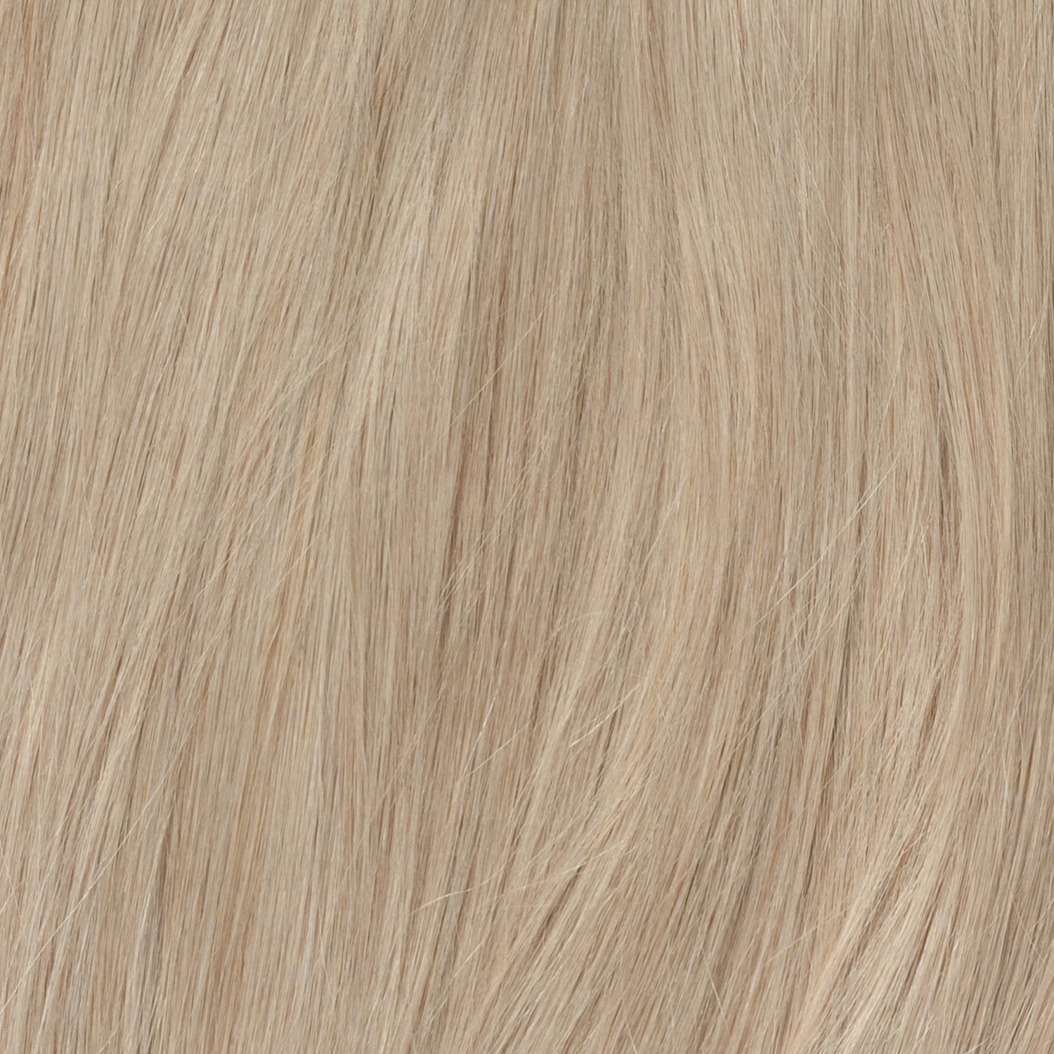 Color sample - Ash Blonde 17B