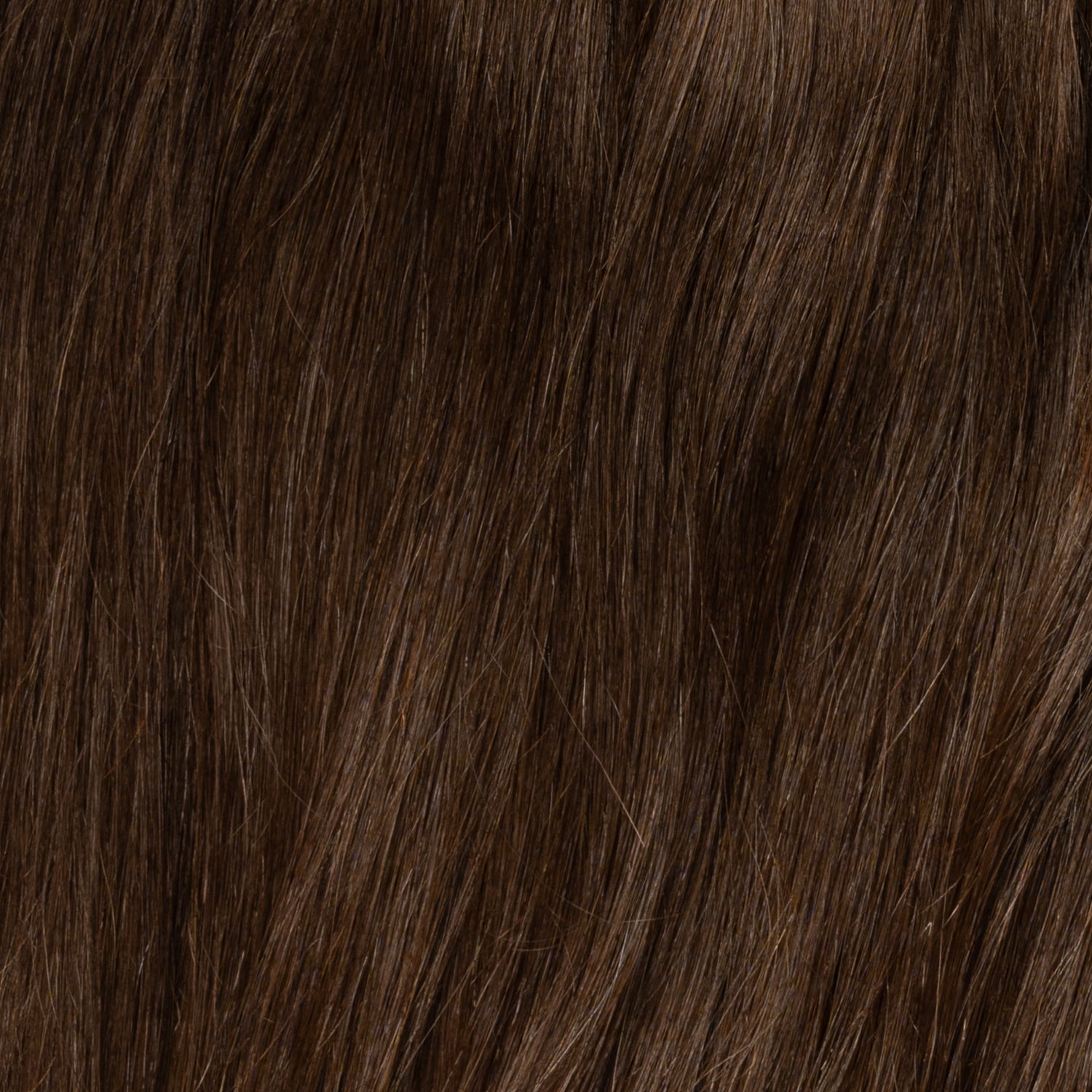 Color sample - Chocolate Brown 2