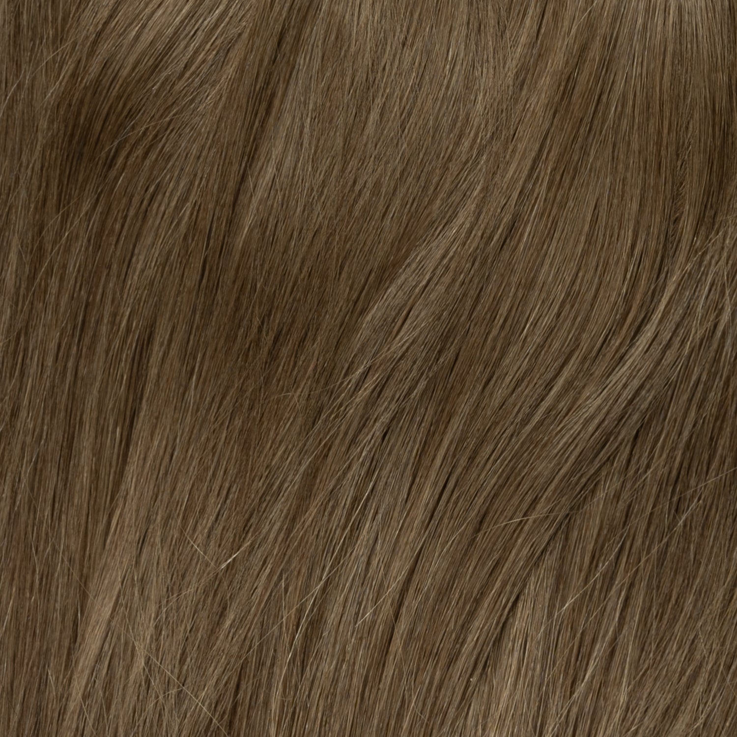 Color sample - Ash Brown 3B