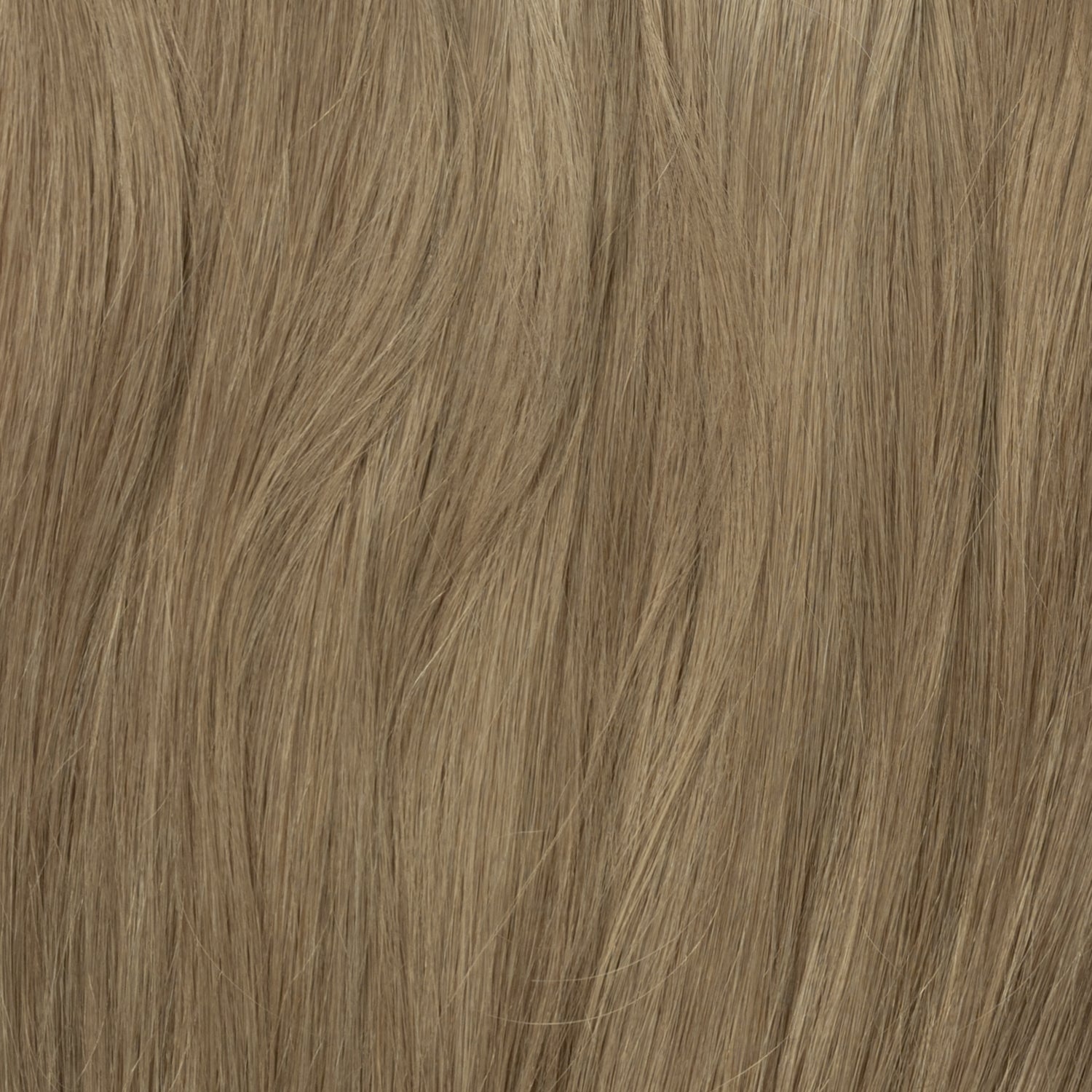 Color sample - Light Ash Brown 5B