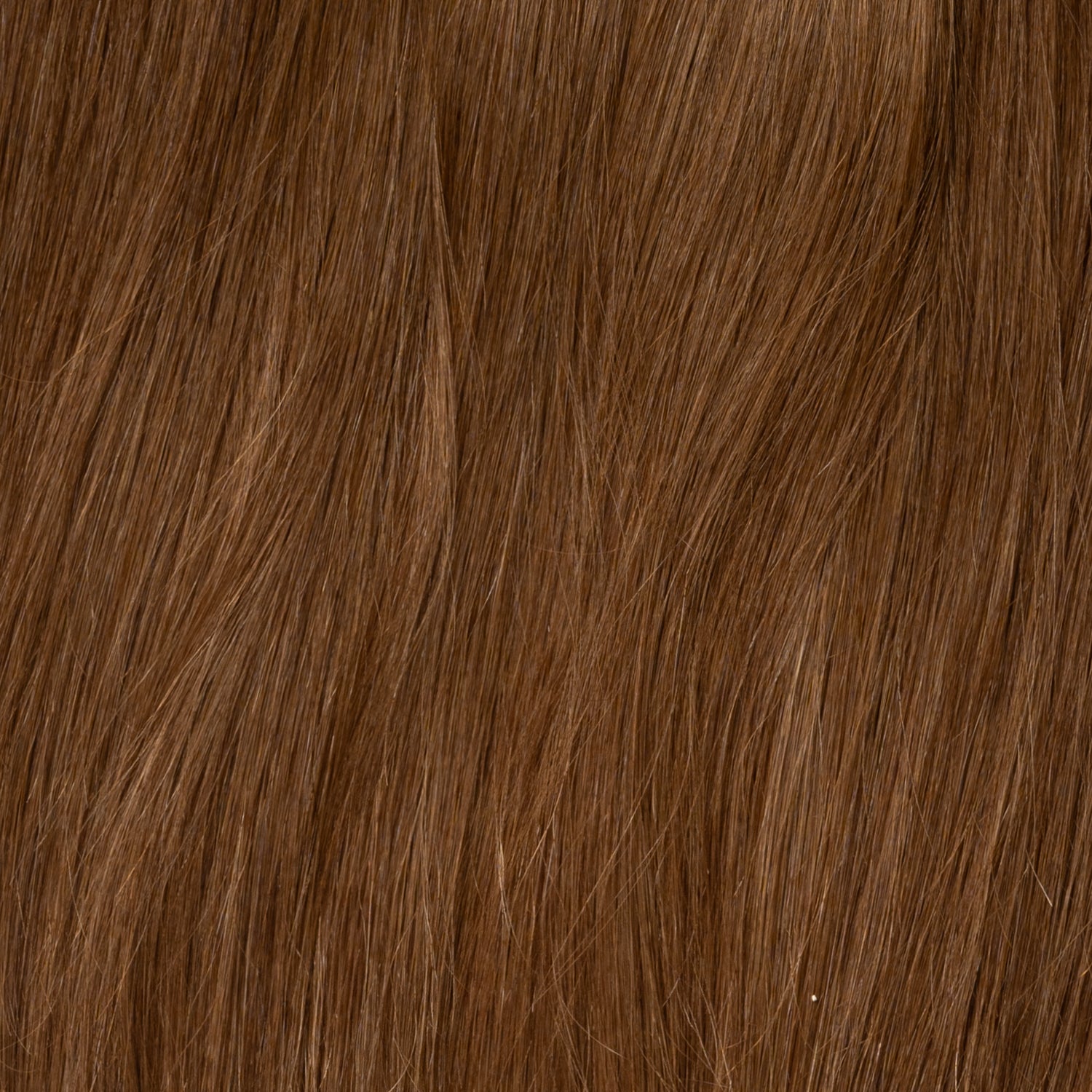 Color sample - Chestnut Brown 6