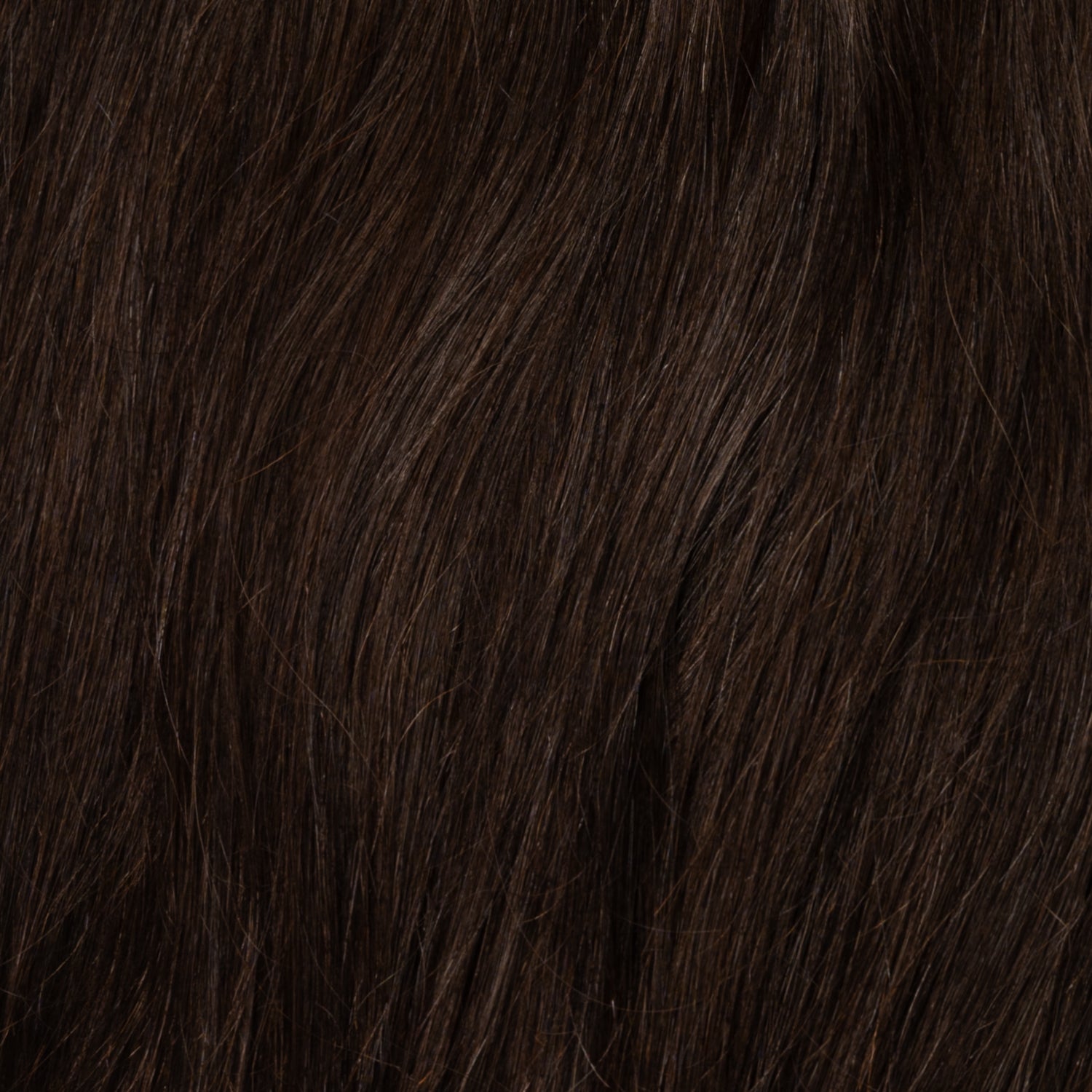 Color sample - Dark Chocolate Brown 1B