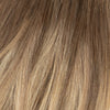 Tape extensions - Natural Blonde Balayage 3B+15A