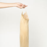 Halo extensions - Gyllenblond nr. 22