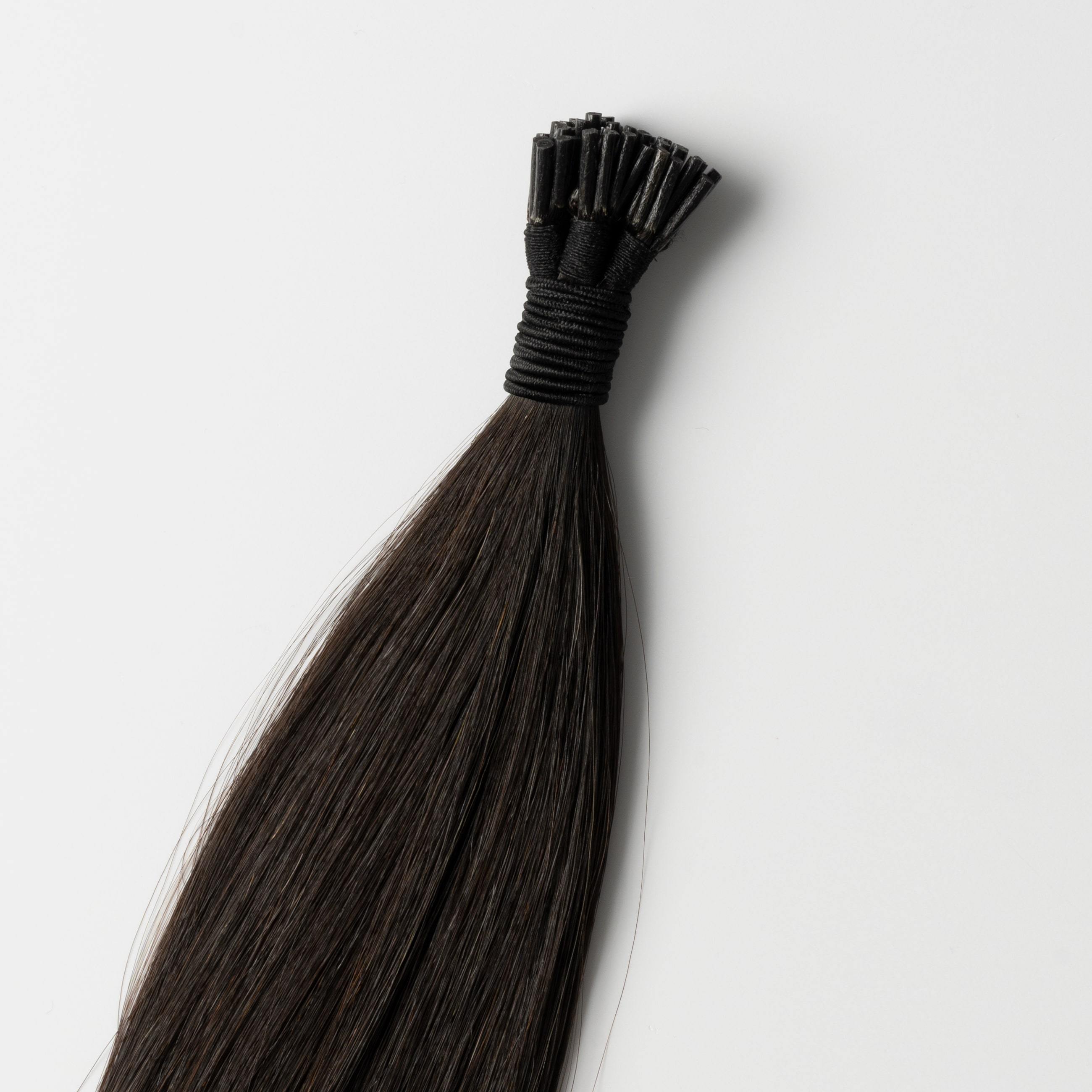Microring extensions - Svartbrun nr. 1A